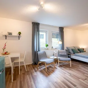 Eg Wohnung, Zentral, Anbindung, Mit Großer Terrasse Apartment Dresden